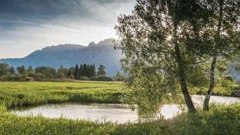 Paysage aquatique calme dans la réserve naturelle du Ruggeller Riet avec une douce lumière du soleil et une vue sur les montagnes en arrière-plan