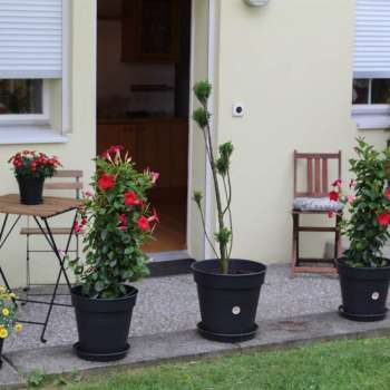 Terrasse Appartement Annette