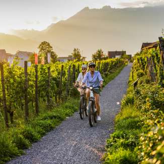 Deux cyclistes dans les vignobles du Liechtenstein au coucher du soleil - vélo électrique avec vue sur les Alpes et les vignes