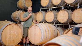 Le viticulteur Harry Zech vérifie la qualité du vin lors de la dégustation des fûts dans la cave à vin - production artisanale au Liechtenstein.