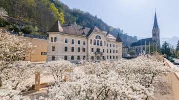 Bâtiment du gouvernement à Vaduz avec des fleurs blanches au premier plan sous un soleil radieux