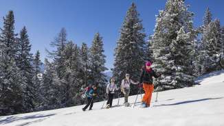 Groupe de randonneurs à raquettes en route à travers le paysage hivernal enneigé près de Malbun au Schönberg.