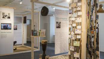 Intérieur de la cathédrale lors d'une exposition LED