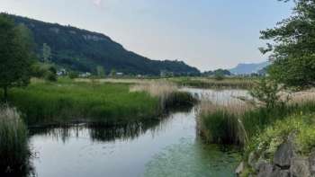Vue sur l'Egelsee à Mauren en été, avec sa végétation verte sur les rives, ses eaux miroitantes et son décor naturel paisible.
