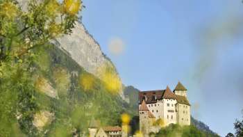 Château de Gutenberg avec des buissons à fleurs jaunes au premier plan.