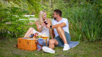 Un couple profite d'un pique-nique romantique dans la verdure avec des délices régionaux Un couple profite d'un pique-nique romantique dans la verdure avec des délices régionaux