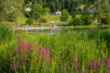 Lac de baignade Grossabünt à Gamprin avec baigneurs, pelouse et plantes en fleurs au premier plan