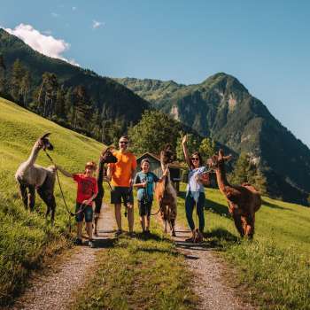 Shooting de famille avec des lamas et des alpagas en été à Malbun