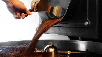 Les grains de café fraîchement torréfiés s'écoulent d'une machine à torréfier dans un bac de récupération.