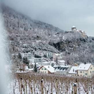 Vignobles et maisons enneigés à Vaduz avec vue sur le château de Vaduz par une journée hivernale