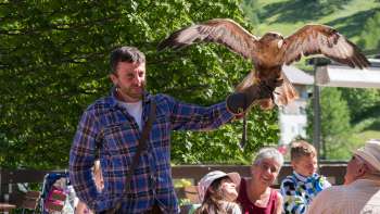 Un fauconnier présente un oiseau de proie, les enfants et les adultes regardent avec enthousiasme.