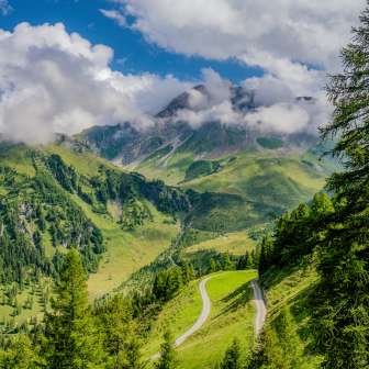 Sentier de montagne sinueux à travers les prairies vertes et la forêt de mélèzes, avec vue sur les sommets nuageux de la région alpine.