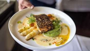 Gros plan sur un plat d'asperges nappé d'une sauce crémeuse, présenté sur une assiette blanche à la Gaflei Stuba