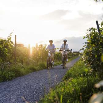 Deux femmes pédalent à travers les vignes au coucher du soleil au Liechtenstein - plaisir de la nature et vacances actives au crépuscule