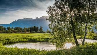 Coucher de soleil dans la réserve naturelle du Ruggeller Riet Lumière du soir évocatrice sur la réserve naturelle du Ruggeller Riet avec cours d'eau, arbres et vue sur les montagnes en arrière-plan.