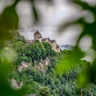 Le château de Vaduz trône sur une colline au-dessus de la ville, entouré de forêt - photographié à travers le flou de feuilles vertes au premier plan.
