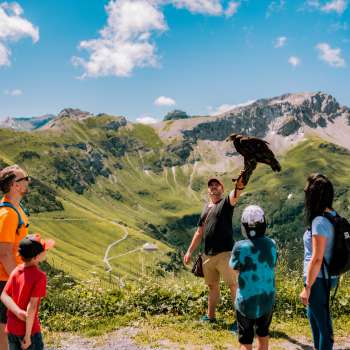 Une famille observe un fauconnier et son rapace lors d'une randonnée de découverte de l'aigle.