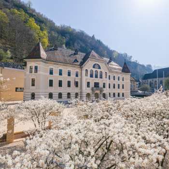 Bâtiment du gouvernement à Vaduz avec des fleurs blanches au premier plan sous un soleil radieux