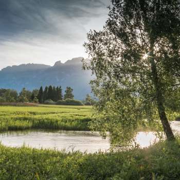 Paysage aquatique calme dans la réserve naturelle du Ruggeller Riet avec une douce lumière du soleil et une vue sur les montagnes en arrière-plan
