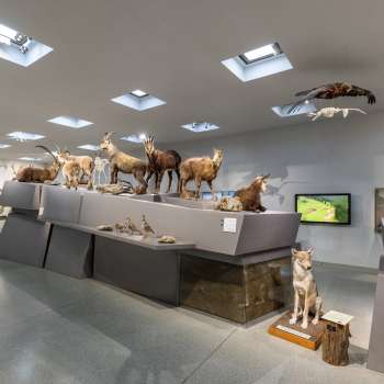 Musée national du Liechtenstein