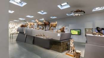 Musée national du Liechtenstein