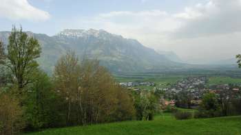 Vue depuis Eschnerberg sur la vallée du Rhin avec ses prairies verdoyantes, ses arbres printaniers et son imposant panorama alpin au Liechtenstein - profiter de la nature et de la vue dans l'Unterland (Bas-Pays).