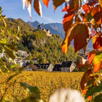 Vue sur le château de Vaduz dans une ambiance automnale
