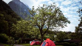 Emplacement de tente sur le camping Mittagsspitze avec des tentes rouges sous un grand arbre devant un décor de montagne.