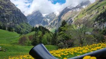 Cor des Alpes au milieu d'une prairie de pissenlits en fleurs dans la vallée alpine du Liechtenstein avec vue sur les sommets enneigés - une expérience musicale traditionnelle dans les Alpes.