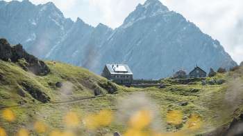 Refuge Pfälzerhütte avec un décor de montagne en arrière-plan et des fleurs au premier plan.