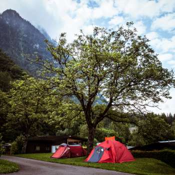 Emplacement de tente sur le camping Mittagsspitze avec des tentes rouges sous un grand arbre devant un décor de montagne.