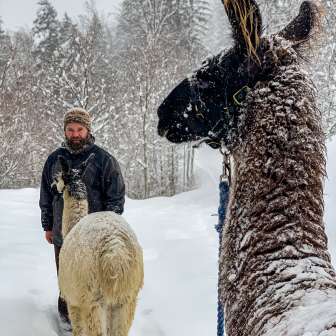 Homme avec deux lamas sur un sentier de randonnée enneigé au Liechtenstein par temps de neige et forêt hivernale