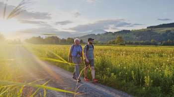 Randonnée avec Marco Büchel sur le « sentier du Liechtenstein » avec vue sur un paysage de prairies idyllique.