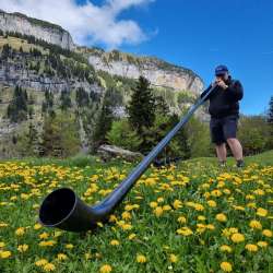 Les sons du cor des Alpes dans un décor de montagne - une tradition vécue dans les Alpes du Liechtenstein Une personne joue du cor des Alpes dans une prairie de pissenlits devant des parois rocheuses abruptes dans les montagnes du Liechtenstein, sous un ciel bleu.