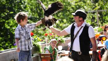 Un jeune garçon tient un rapace dans ses bras, guidé par un fauconnier en tenue traditionnelle, dans le cadre d'une démonstration de rapaces à Malbun. Un jeune garçon tient un rapace dans ses bras, guidé par un fauconnier en tenue traditionnelle, dans le cadre d'une démonstration de rapaces à Malbun.
