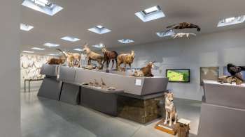  Exposition sur les sciences naturelles au Musée national du Liechtenstein