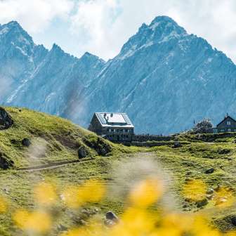 Vue lointaine sur les refuge Pfälzer au Liechtenstein avec des fleurs sauvages au premier plan et des pics rocheux abrupts en arrière-plan
