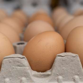 Œufs frais de Neufeldhof au Liechtenstein – directement du poulet à l'étagère, produits régionalement et durablement.