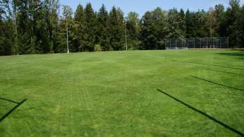 Terrain de sport de Schellenberg