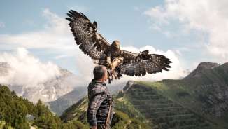 Le fauconnier Norman Vögeli présente un imposant aigle royal dans un décor de montagne alpine - un spectacle naturel impressionnant en altitude.