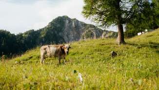 Randonnée au Liechtenstein