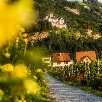 Vue sur le château de Vaduz depuis le sentier viticole à travers les vignobles avec des fleurs, des vignes et des maisons au Liechtenstein