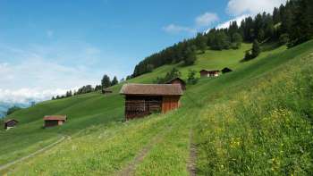 Pâturages alpins avec des étables en bois éparpillées sur un versant verdoyant près de Masescha.