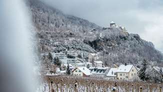Vignobles et maisons enneigés à Vaduz avec vue sur le château de Vaduz par une journée hivernale