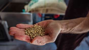 Gros plan sur une main montrant des grains de café de Demmel Kaffee
