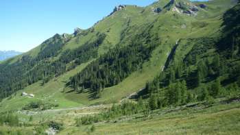 Vertes prairies alpines et pentes boisées autour de l'Alp Lawena au Liechtenstein par une claire journée d'été, avec vue sur les montagnes environnantes.