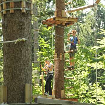 Deux personnes se concentrent sur un parcours de cordes entre les arbres.