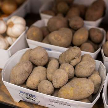 Pommes de terre fraîchement récoltées de notre propre production dans la boutique de la ferme de Neufeldhof – régionales et naturelles.