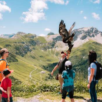 Une famille observe un fauconnier avec un oiseau de proie lors d'une visite guidée découverte dans les montagnes de Malbun.