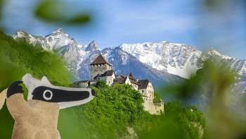 Détective-Trail : à la chasse au trésor à Vaduz avec vue sur le château de Vaduz et les montagnes blanches